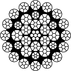 TYCFORM