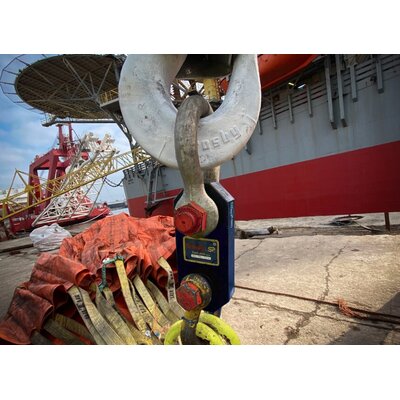 Báscula de grúa - Radiolink Plus Crosby