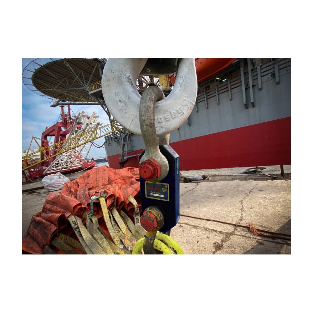 Báscula de grúa - Radiolink Plus Crosby